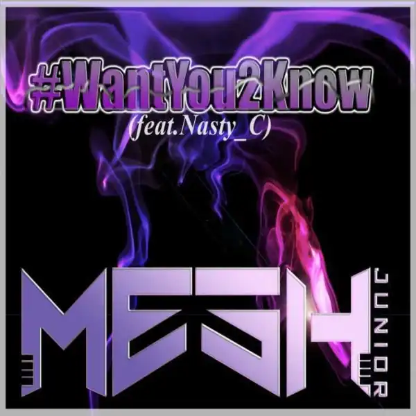 Mesh Junior - Want You To Know ft Nasty C